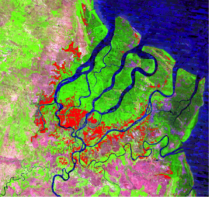 Mangroves