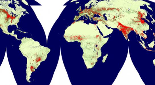 global cropland